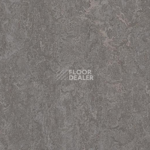 Линолеум Forbo Marmoleum Marbled Real 3137 Slate Grey фото 1 | FLOORDEALER